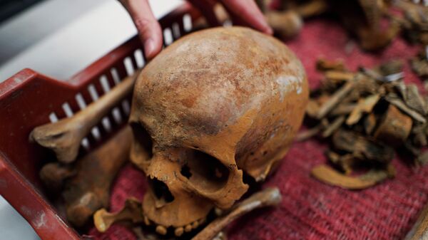 Restos mortais de uma mulher encontrada em um sárcofago recém-descoberto na Hungria; arqueólogos localizaram a urna funerária após ela ficar 1,7 mil anos debaixo da terra - Sputnik Brasil