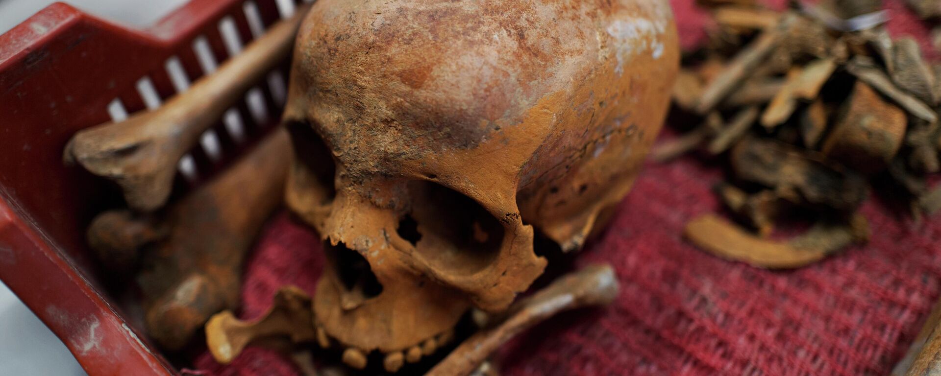 Restos mortais de uma mulher encontrada em um sárcofago recém-descoberto na Hungria; arqueólogos localizaram a urna funerária após ela ficar 1,7 mil anos debaixo da terra - Sputnik Brasil, 1920, 21.11.2025