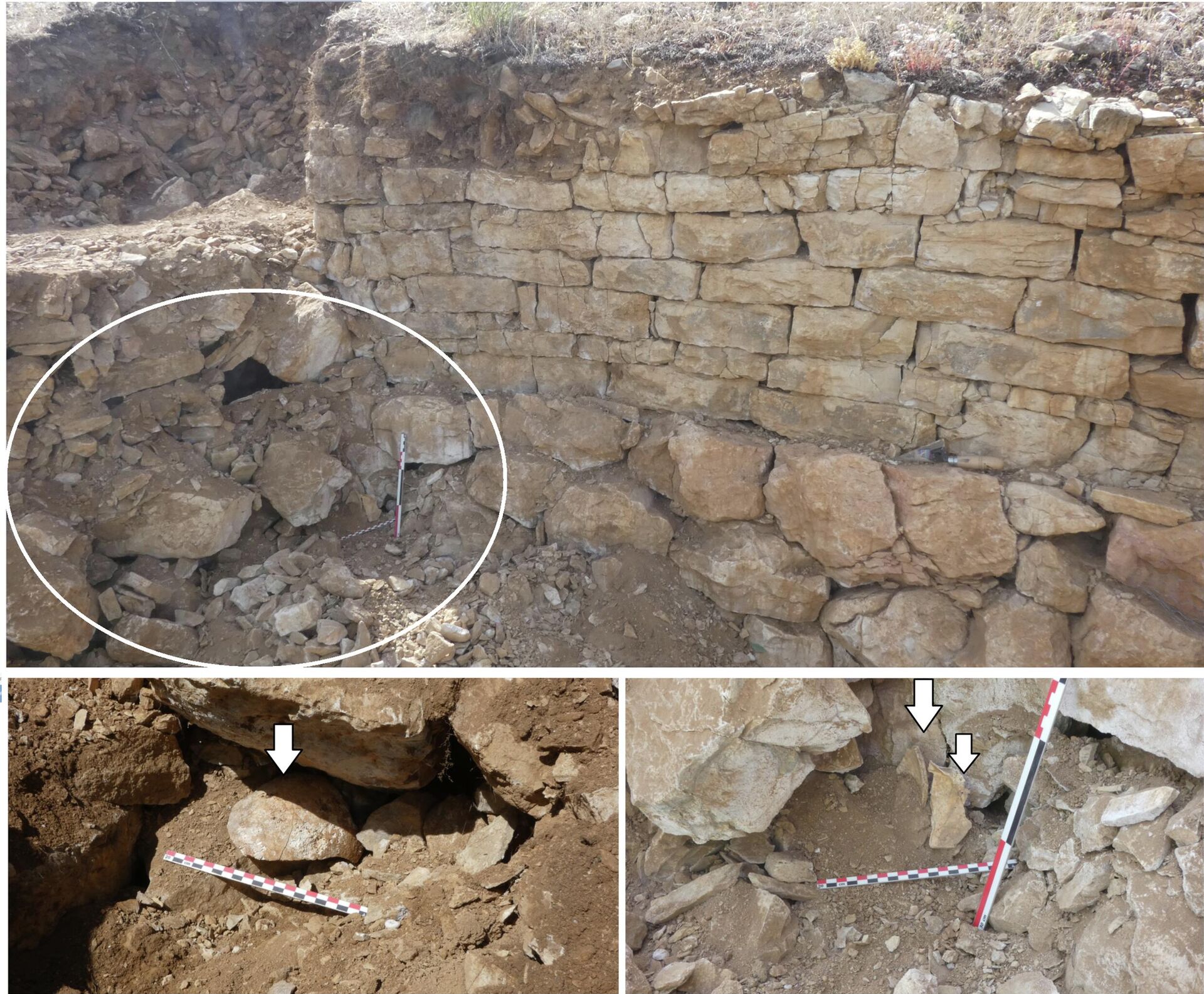 Restos do guerreiro revelados na Espanha. Restos do guerreiro revelados na Espanha.