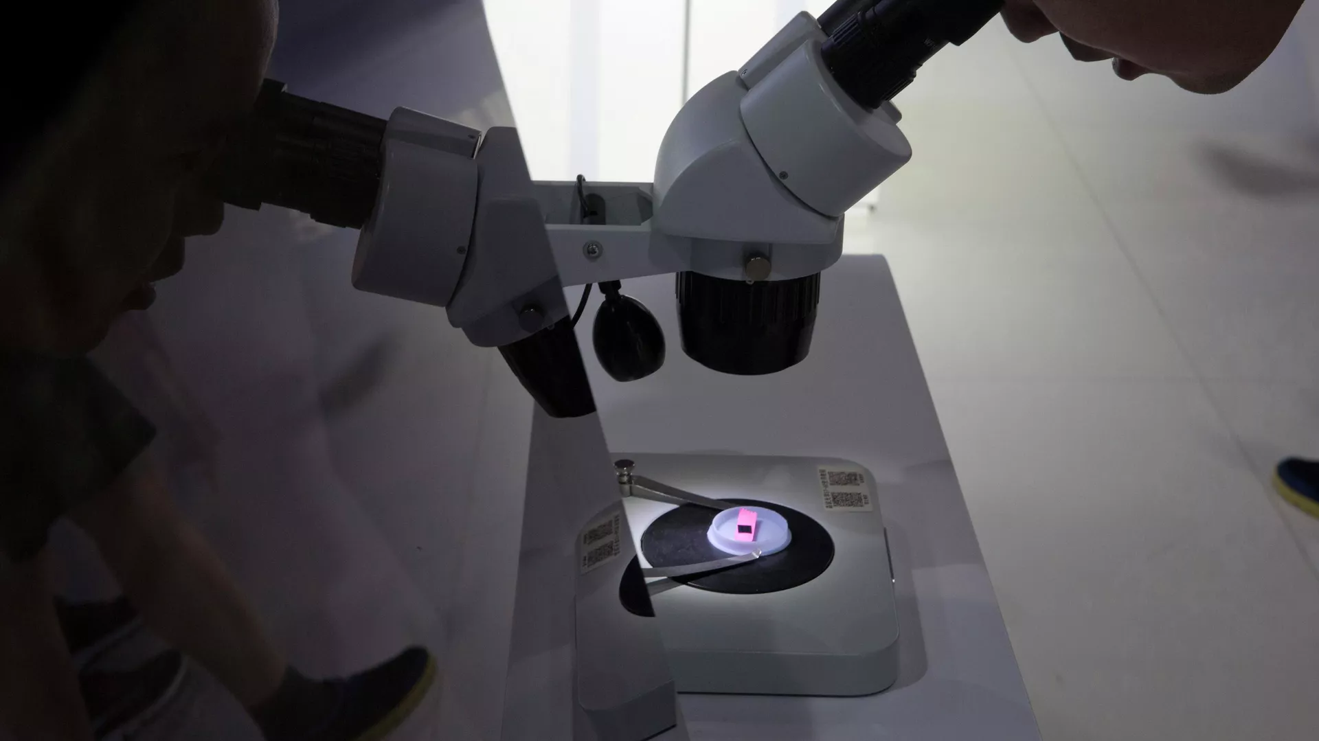 Visitante de exposição em Pequim observa chip em um microscópio do projeto Tsinghua Unigroup, controlado pelo Estado chinês, que se tornou um campeão nacional das ambições nacionais no setor de semicondutores. China, 17 de maio de 2018 Visitante de exposição em Pequim observa chip em um microscópio do projeto Tsinghua Unigroup, controlado pelo Estado chinês, que se tornou um campeão nacional das ambições nacionais no setor de semicondutores. China, 17 de maio de 2018 - Sputnik Brasil, 1920, 26.11.2025