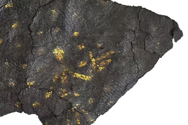 Parte superior de um sapato decorado com motivos em ouro, final do século XII, Trebic, Praça Karlovo - Sputnik Brasil