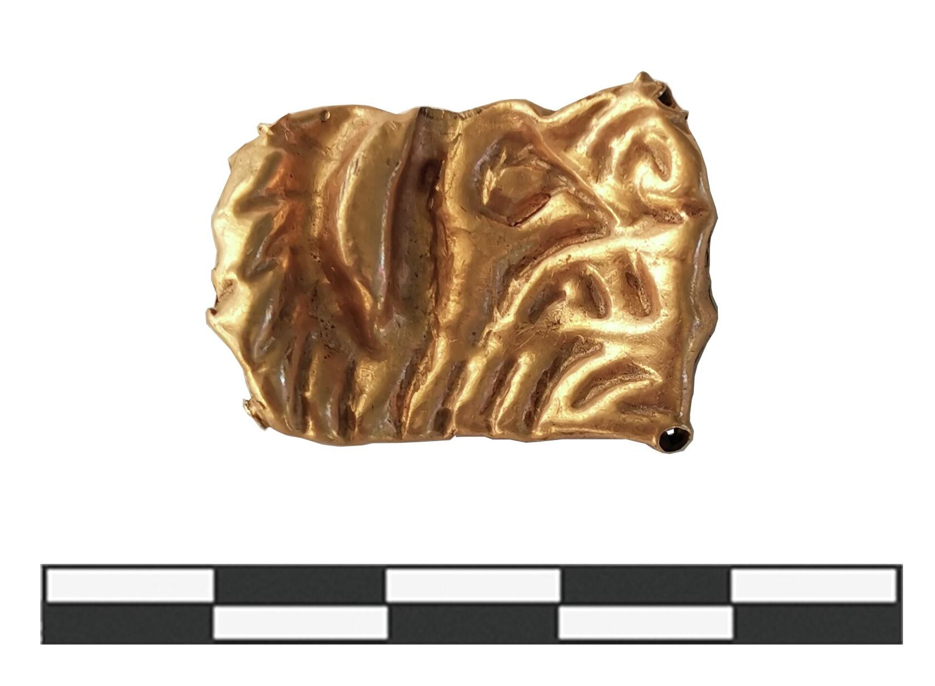 Aplique dourado com a imagem da cabeça e da pata dianteira de um tigre