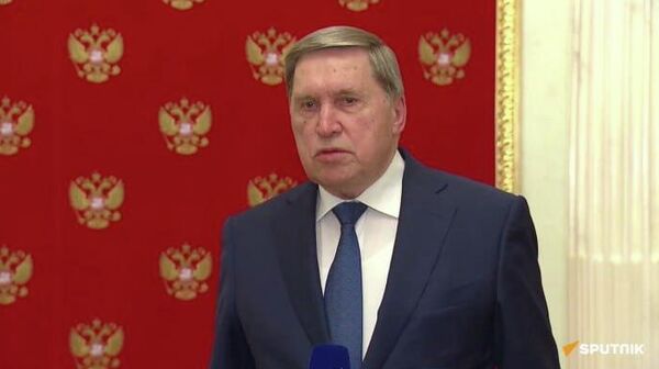 Putin e enviado de Trump discutem questões territoriais e cooperação econômica em reunião de quase cinco horas no Kremlin, diz Ushakov - Sputnik Brasil