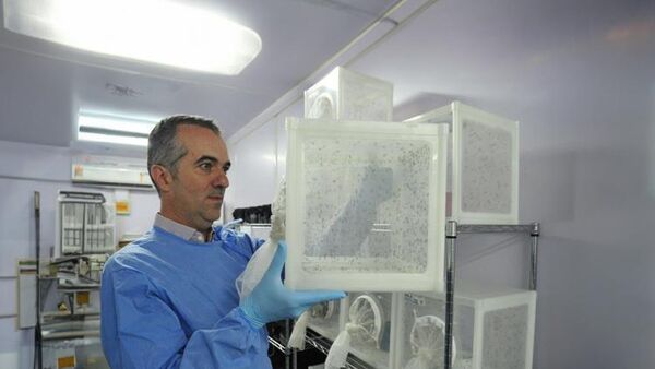 Pesquisador da Fiocruz, Luciano Moreira, líder do Word Mosquito Program (WMP) no Brasil, e responsável pela introdução e condução do método no país foi eleito uma das 10 pessoas mais influentes da ciência no mundo em 2025. - Sputnik Brasil