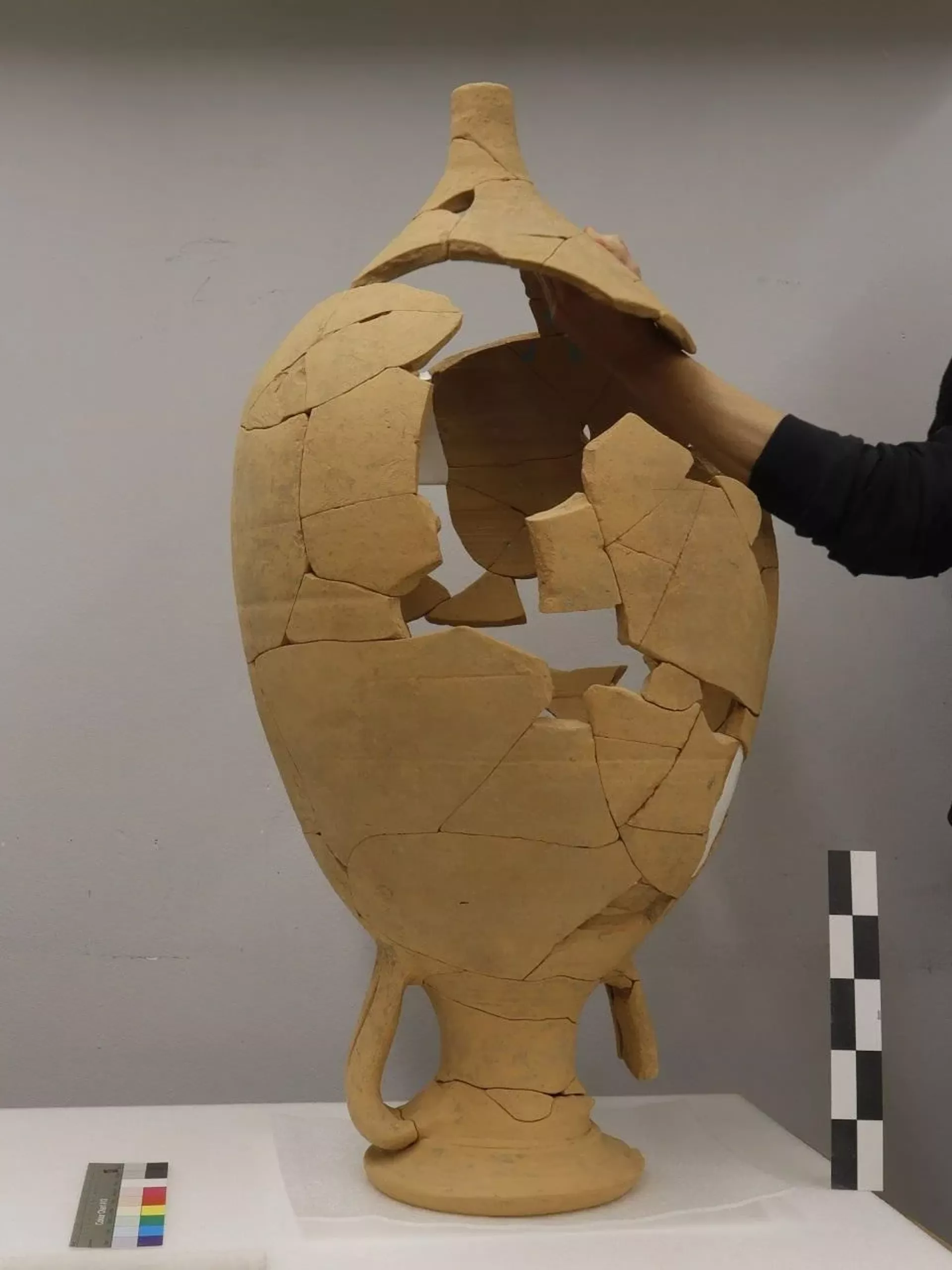 A ânfora fragmentada no laboratório de restauração. A ânfora fragmentada no laboratório de restauração. - Sputnik Brasil, 1920, 12.12.2025