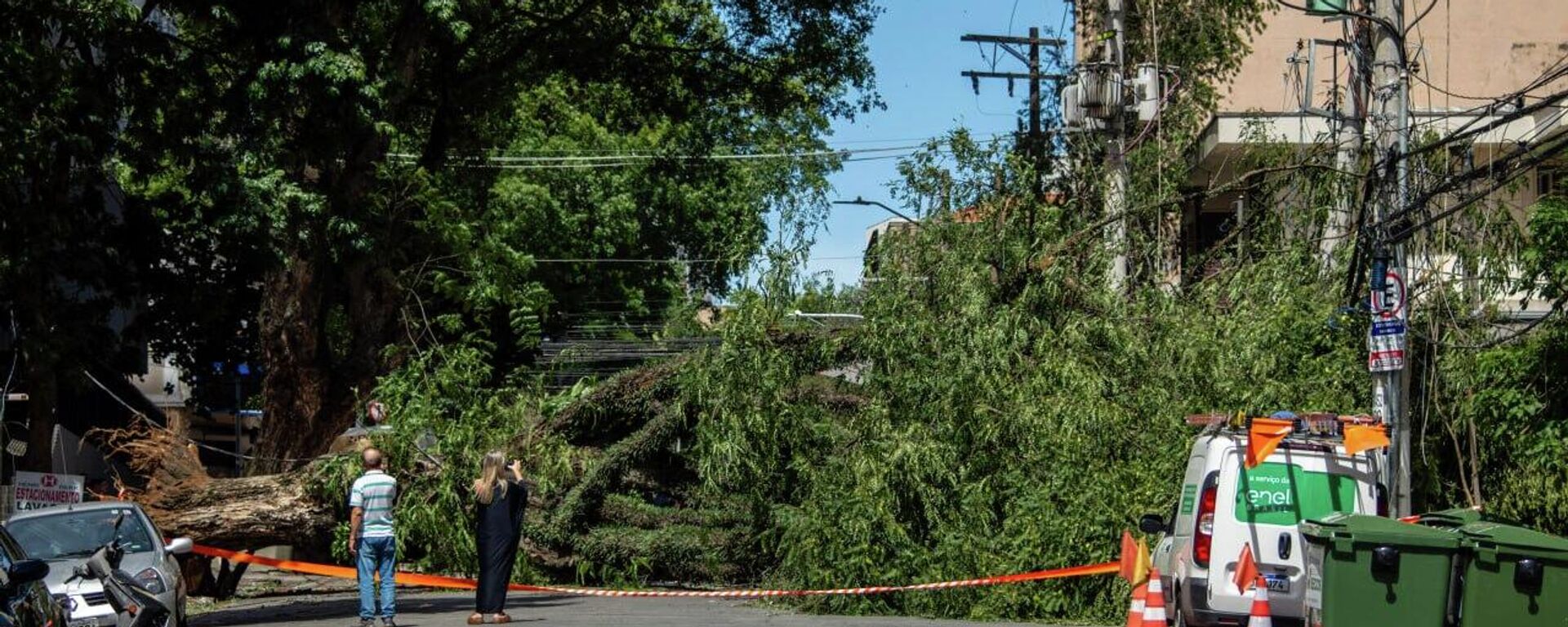 Queda de árvore obstrui via na Grande São Paulo. - Sputnik Brasil, 1920, 12.12.2025