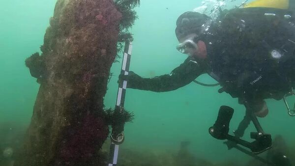 Mergulhador mede a altura do monólito - Sputnik Brasil