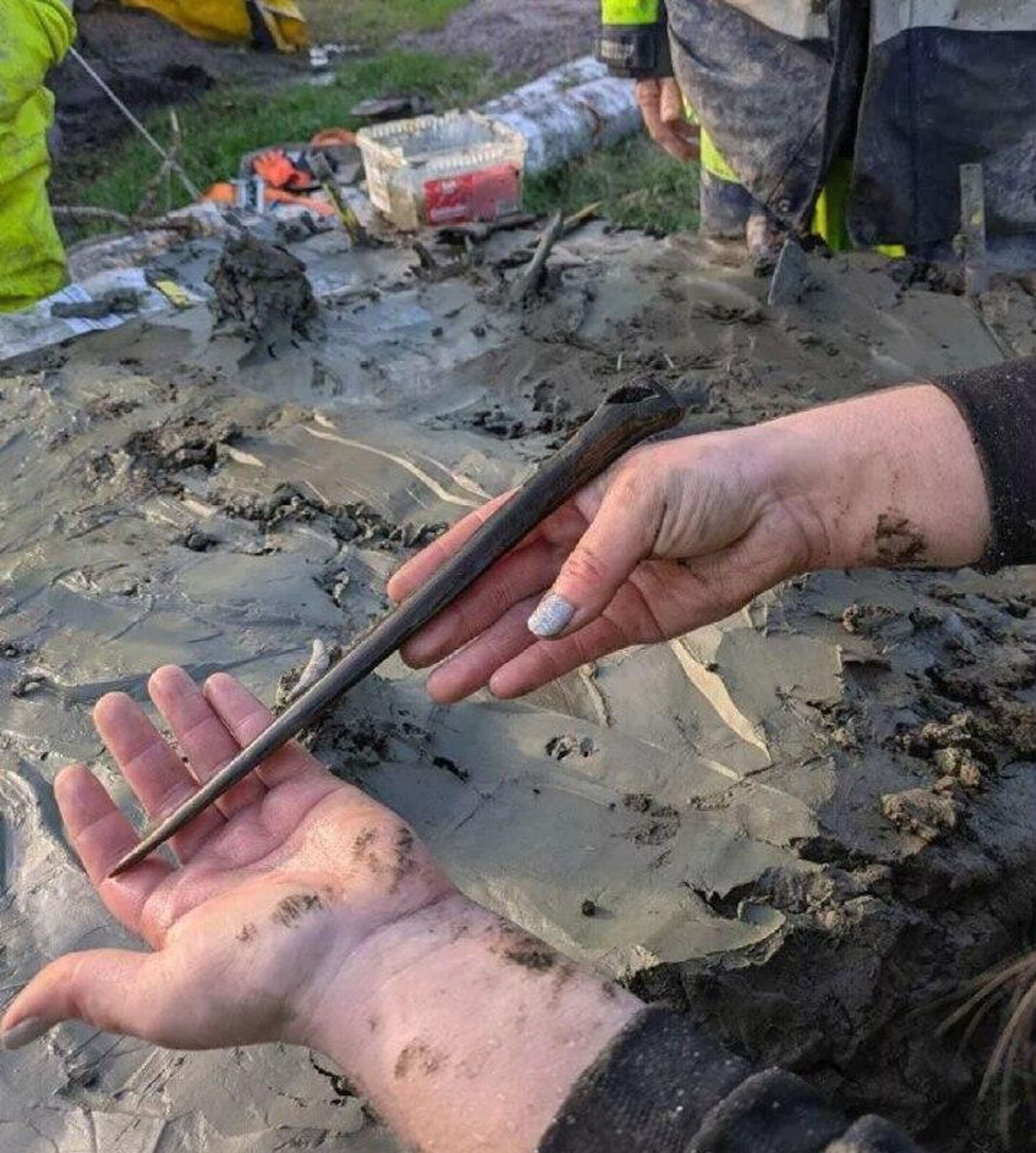 Arqueólogos encontram cão neolítico com adaga em ritual há 5