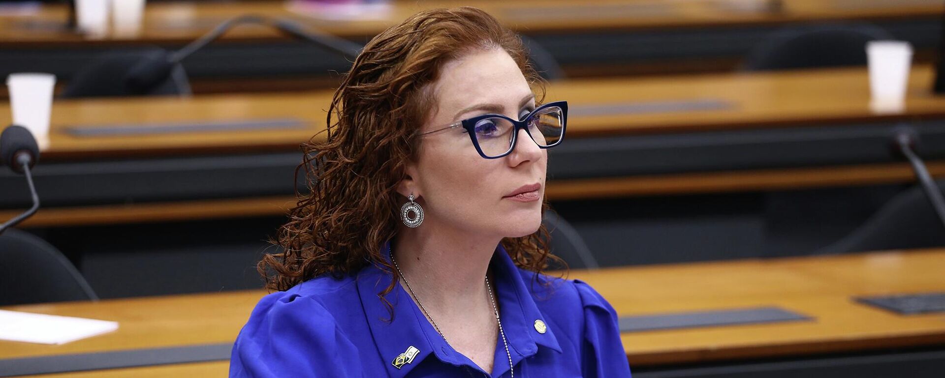 A então deputada federal Carla Zambelli na Câmara, em Brasília (DF), em dezembro de 2024 - Sputnik Brasil, 1920, 18.12.2025