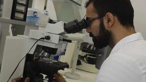 Produção científica brasileira volta a crescer em 2024 - Sputnik Brasil