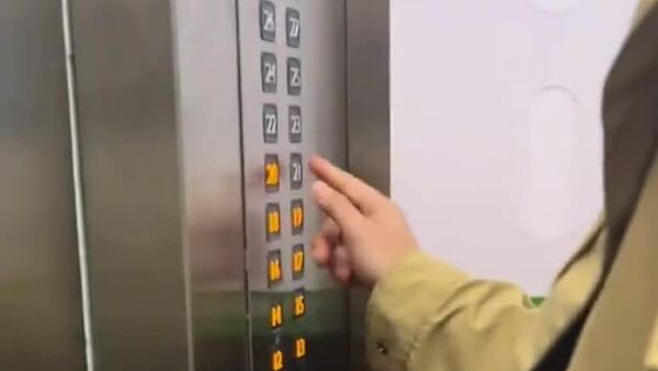 Ele sabe onde mora! Cachorro reconhece andar do prédio no elevador - Sputnik Brasil