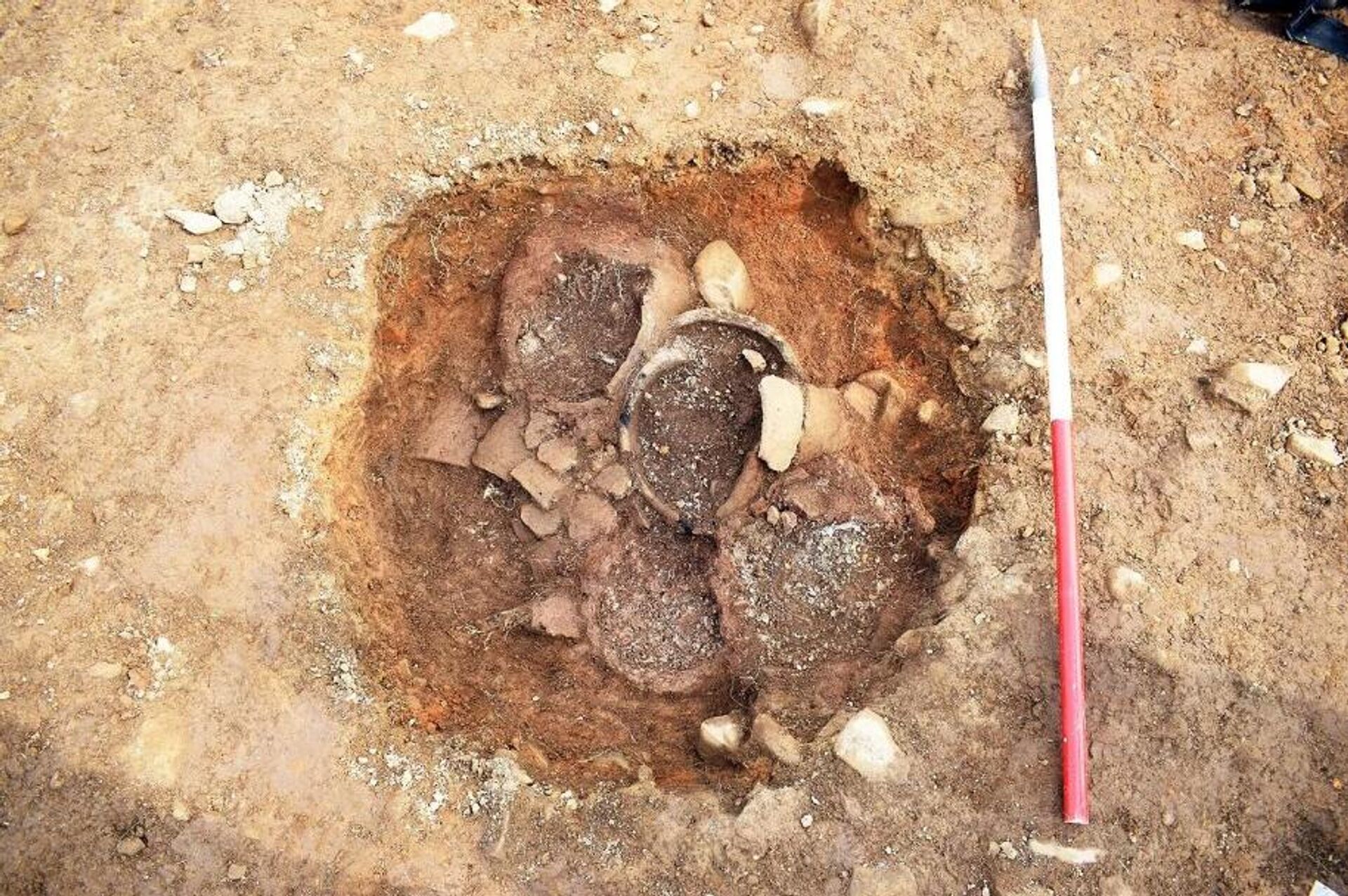 Cemitério de 3.000 anos na Escócia. - Sputnik Brasil, 1920, 21.12.2025