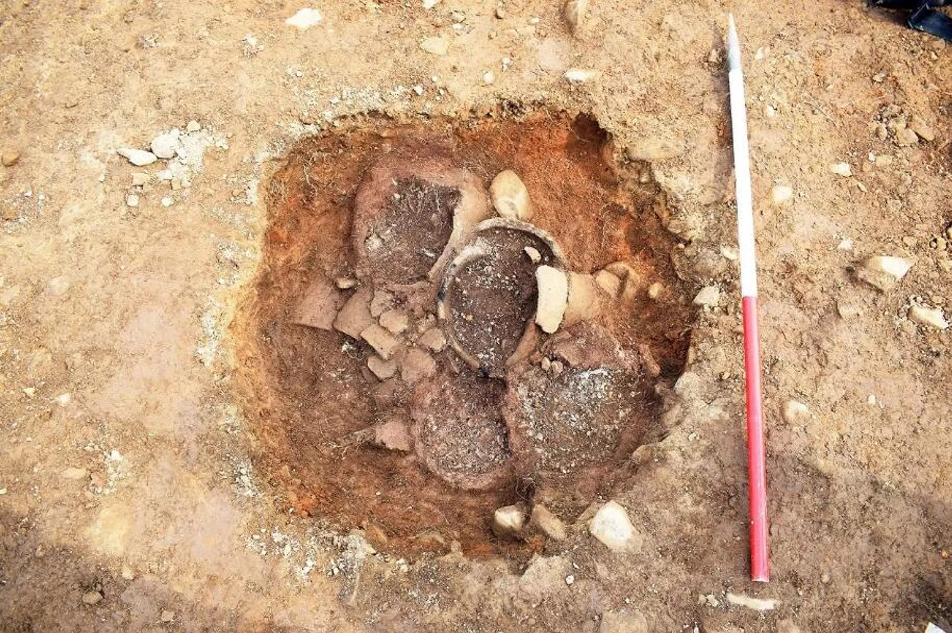 Cemitério de 3.000 anos na Escócia. - Sputnik Brasil, 1920, 21.12.2025