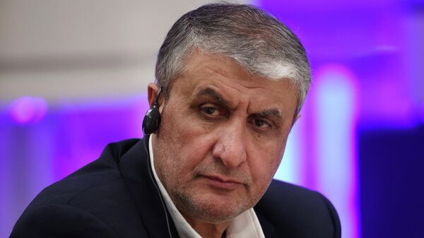 O presidente da Organização de Energia Atômica do Irã, Mohammad Eslami, durante evento sobre energia atômica na Rússia - Sputnik Brasil