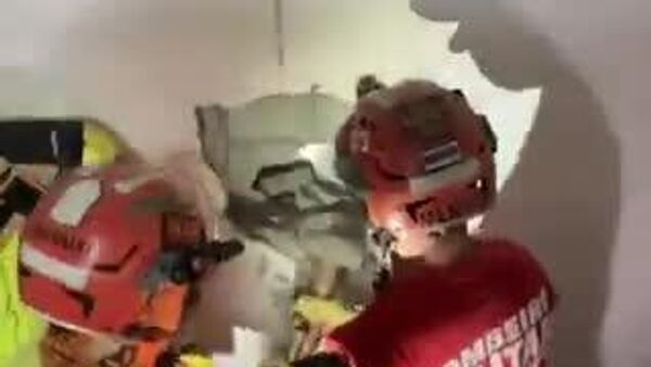 Bombeiros resgatam gata presa em vão de condomínio em Minas Gerais - Sputnik Brasil