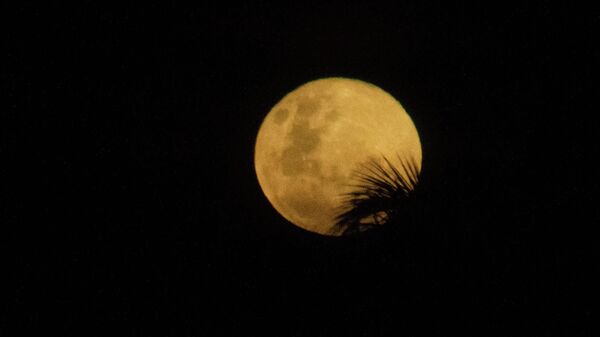 Superlua brilhou nos céus de São Paulo, em janeiro de 2026 - Sputnik Brasil