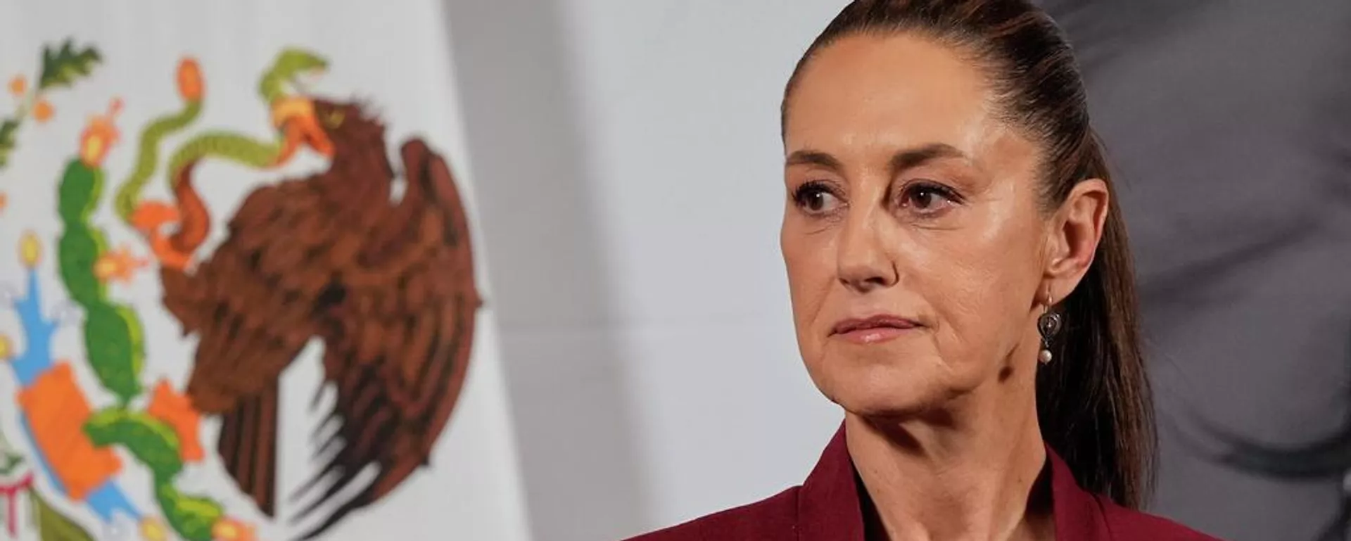 A presidente mexicana Claudia Sheinbaum concede sua coletiva de imprensa matinal no Palácio Nacional, na Cidade do México, 2 de abril de 2025 A presidente mexicana Claudia Sheinbaum concede sua coletiva de imprensa matinal no Palácio Nacional, na Cidade do México, 2 de abril de 2025 - Sputnik Brasil, 1920, 04.01.2026