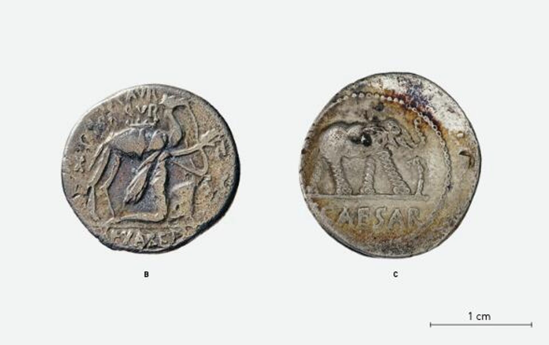 Denários romanos de Augusta Raurica (Kaiseraugst/AG) (B) com um camelo (cerca de 58 a.C.) e de Basileia (C) com um elefante Denários romanos de Augusta Raurica (Kaiseraugst/AG) (B) com um camelo (cerca de 58 a.C.) e de Basileia (C) com um elefante