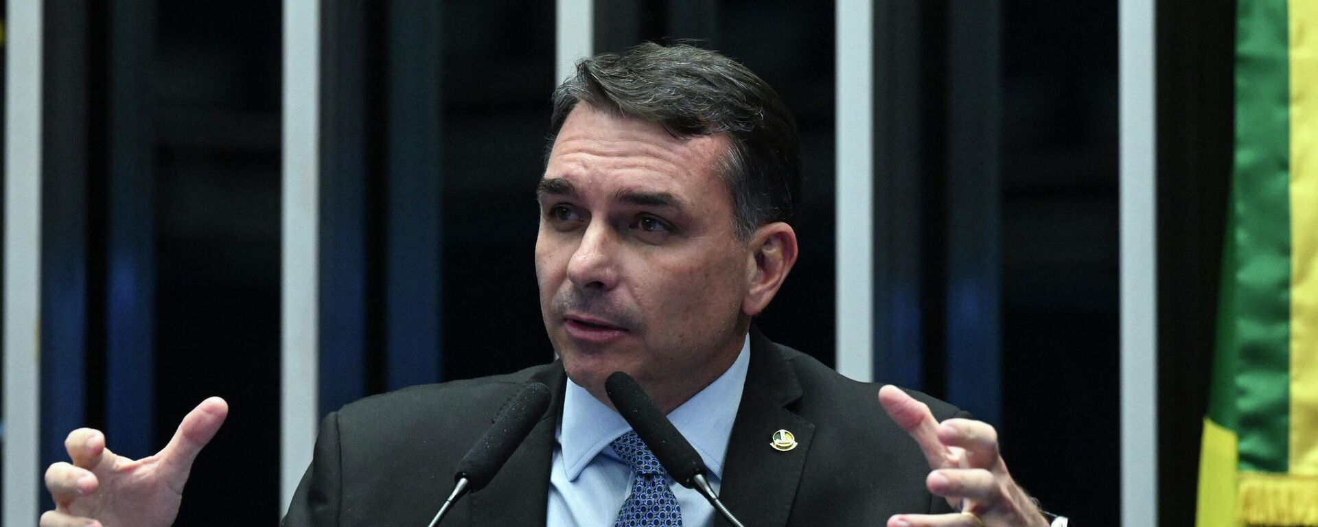 O senador Flávio Bolsonaro (PL-RJ) durante sessão no Senado - Sputnik Brasil, 1920, 04.01.2026