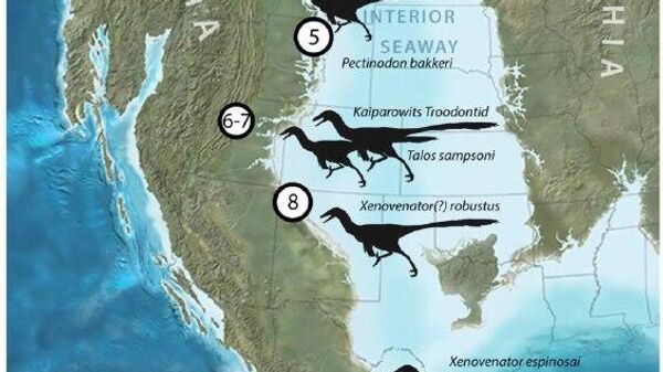 Nova espécie de dinossauro emplumado com crânio espesso é descoberta no México - Sputnik Brasil