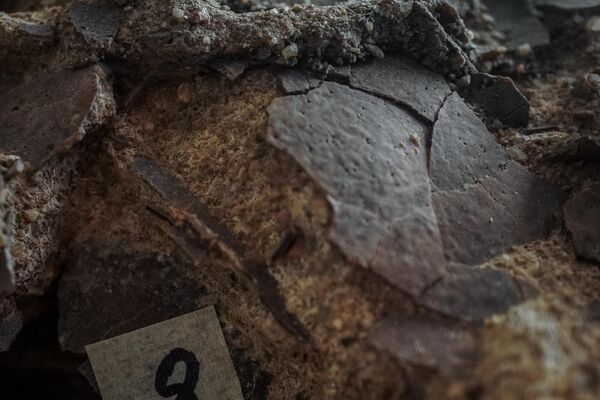 Detalhe de cascas de ovos fossilizadas, preservadas tridimensionalmente dentro do sedimento, com fragmentos identificados em estudo - Sputnik Brasil