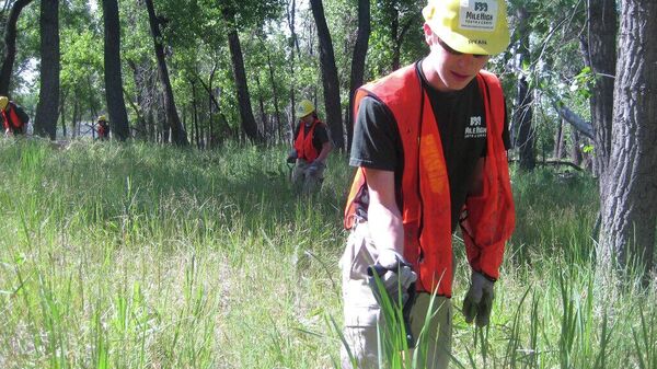 Ryan Stewart, 17 anos, arranca ervas daninhas invasoras no Refúgio Nacional de Vida Selvagem do Arsenal das Montanhas Rochosas, em Commerce City, Colorado, EUA, um dos milhares de jovens que trabalham em empregos governamentais durante o verão, pagos pelo pacote de estímulo econômico federal, 18 de junho de 2009 - Sputnik Brasil