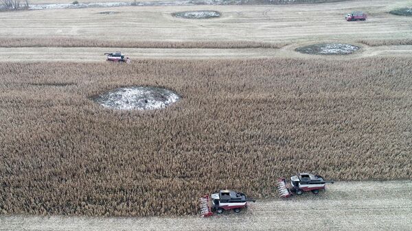 Que vantagens o acordo Mercosul-UE pode trazer às empresas russas? Analistas explicam à Sputnik - Sputnik Brasil