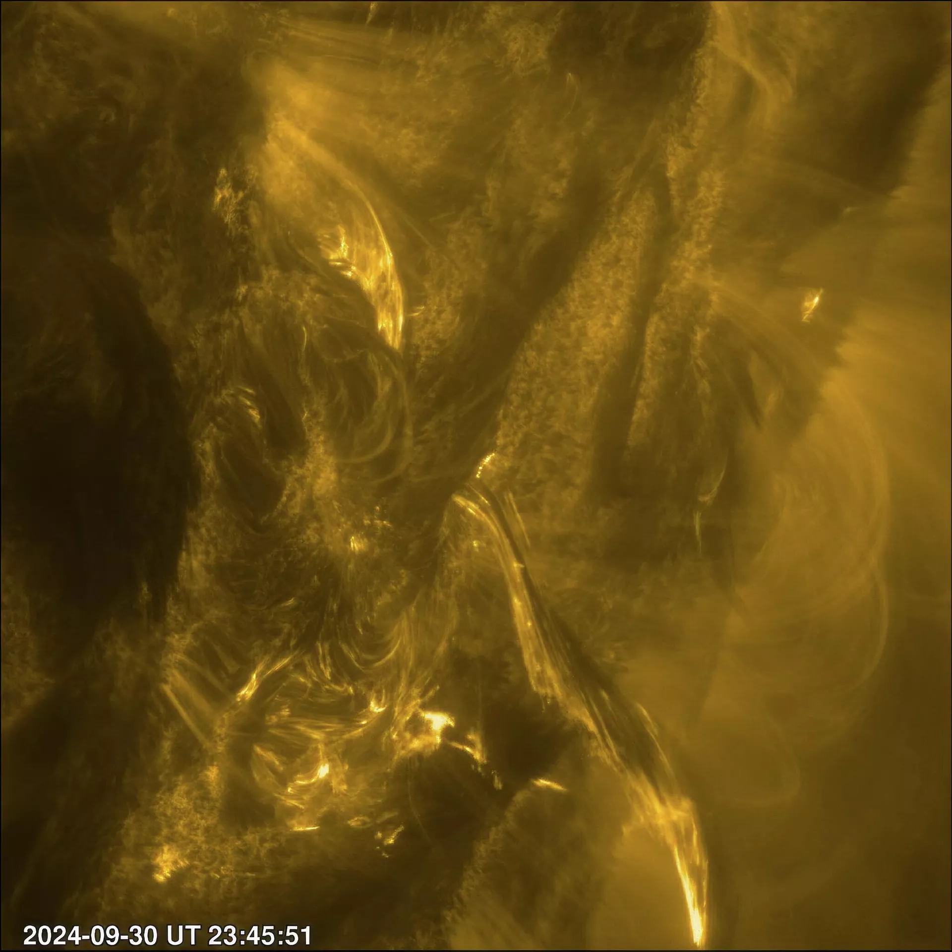 Imagem capturada pela missão Solar Orbiter, liderada pela ESA, um segundo antes de uma poderosa erupção solar de classe M ser liberada do Sol, 30 de setembro de 2024 - Sputnik Brasil, 1920, 27.01.2026