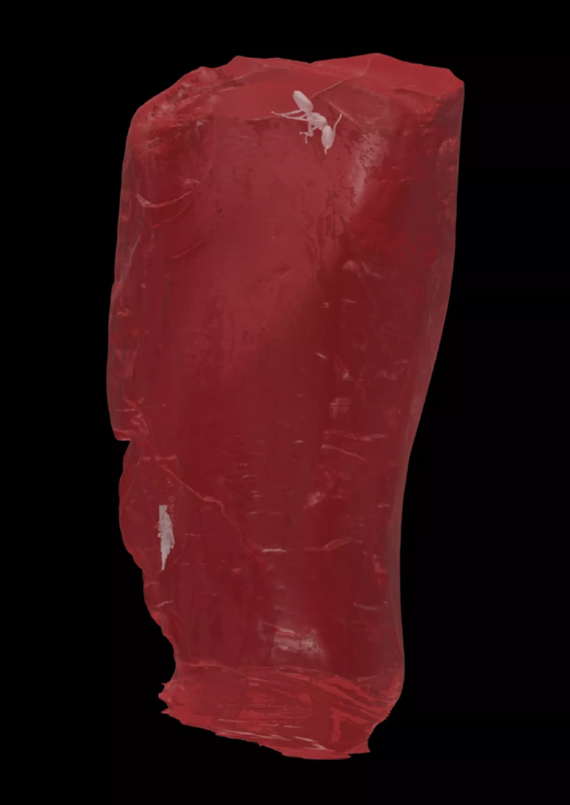 Visualização 3D da amostra de âmbar e suas inclusões biológicas - Sputnik Brasil, 1920, 27.01.2026