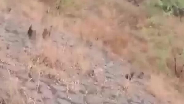 Acidente aéreo com avião leve deixa 5 pessoas mortas, incluindo líder político na Índia - Sputnik Brasil