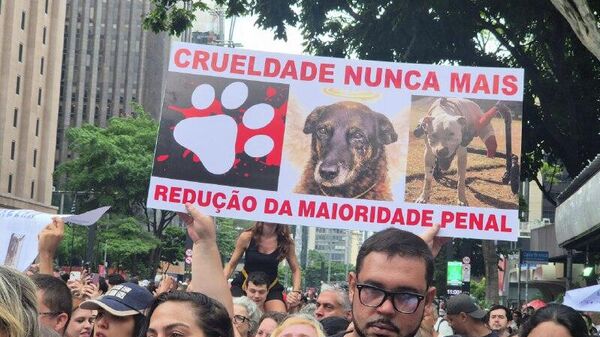 🪧 Ato em São Paulo cobra punição contra agressores do cachorro Orelha - Sputnik Brasil