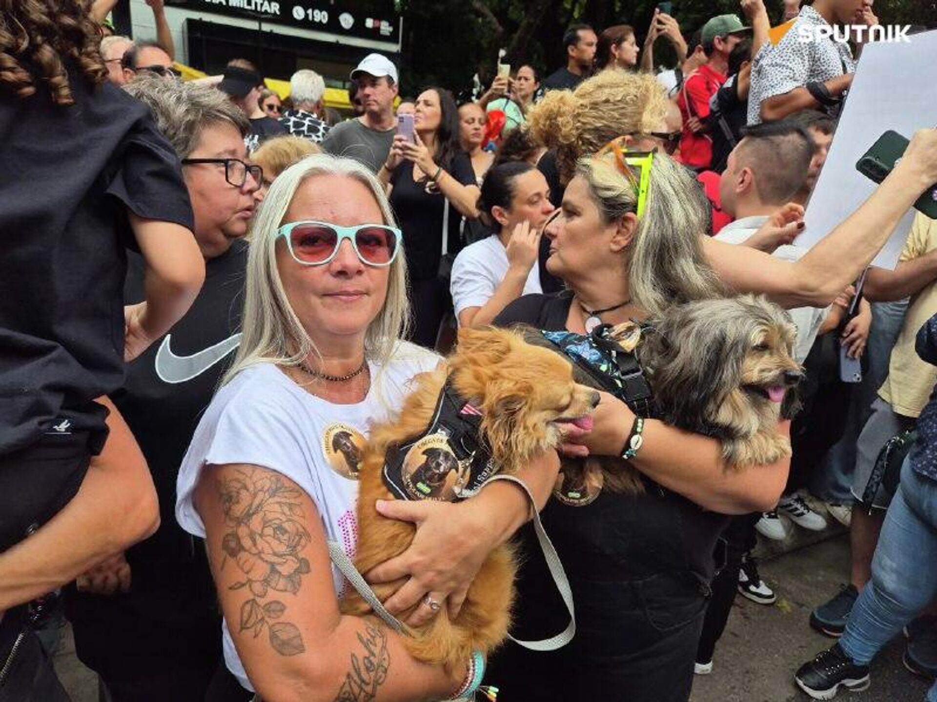 🪧 Ato em São Paulo cobra punição contra agressores do cachorro Orelha - Sputnik Brasil, 1920, 01.02.2026
