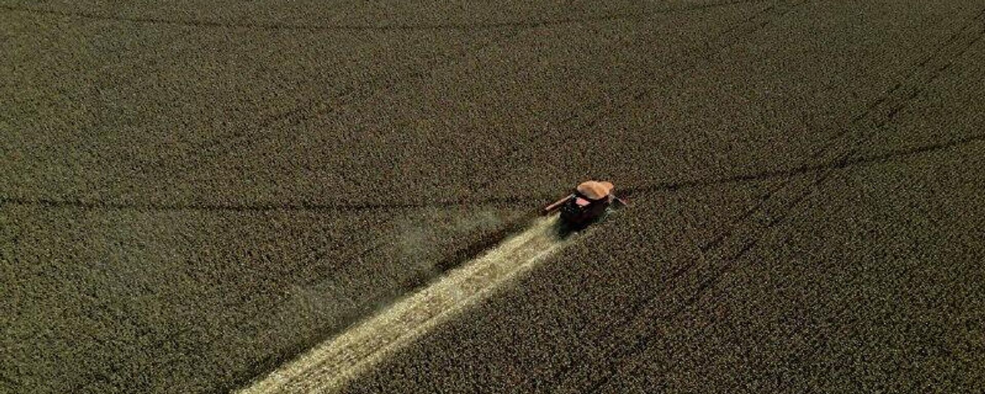 Brasil se prepara para firmar o acordo Mercosul-UE após 26 anos de negociações - Sputnik Brasil, 1920, 02.02.2026