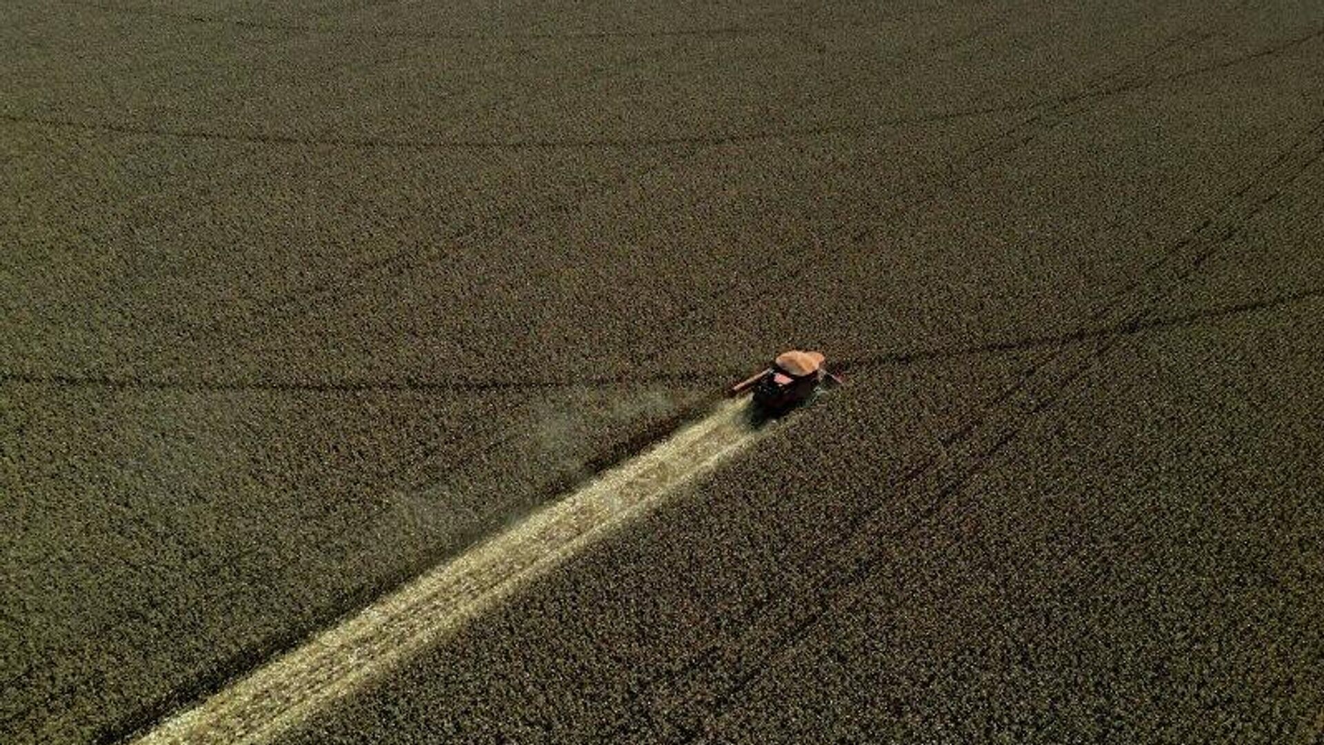 Brasil se prepara para firmar o acordo Mercosul-UE após 26 anos de negociações - Sputnik Brasil, 1920, 02.02.2026