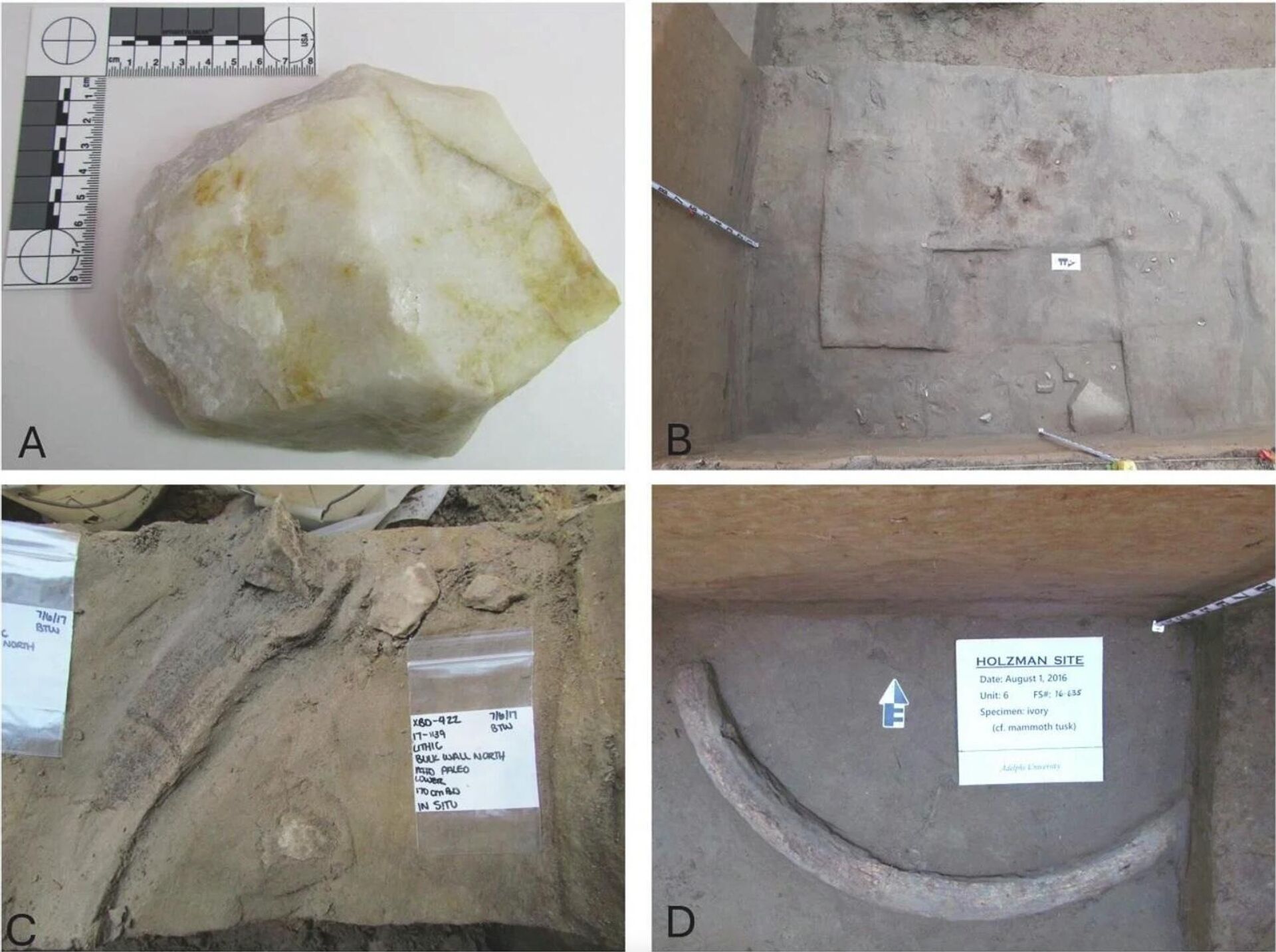 Achados arqueológicos encontrados na parte central do vale do Tanana, no Alasca - Sputnik Brasil, 1920, 05.02.2026