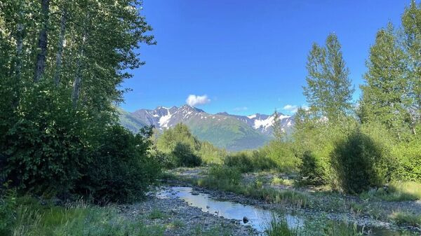 Paisagem do Alaska - Sputnik Brasil