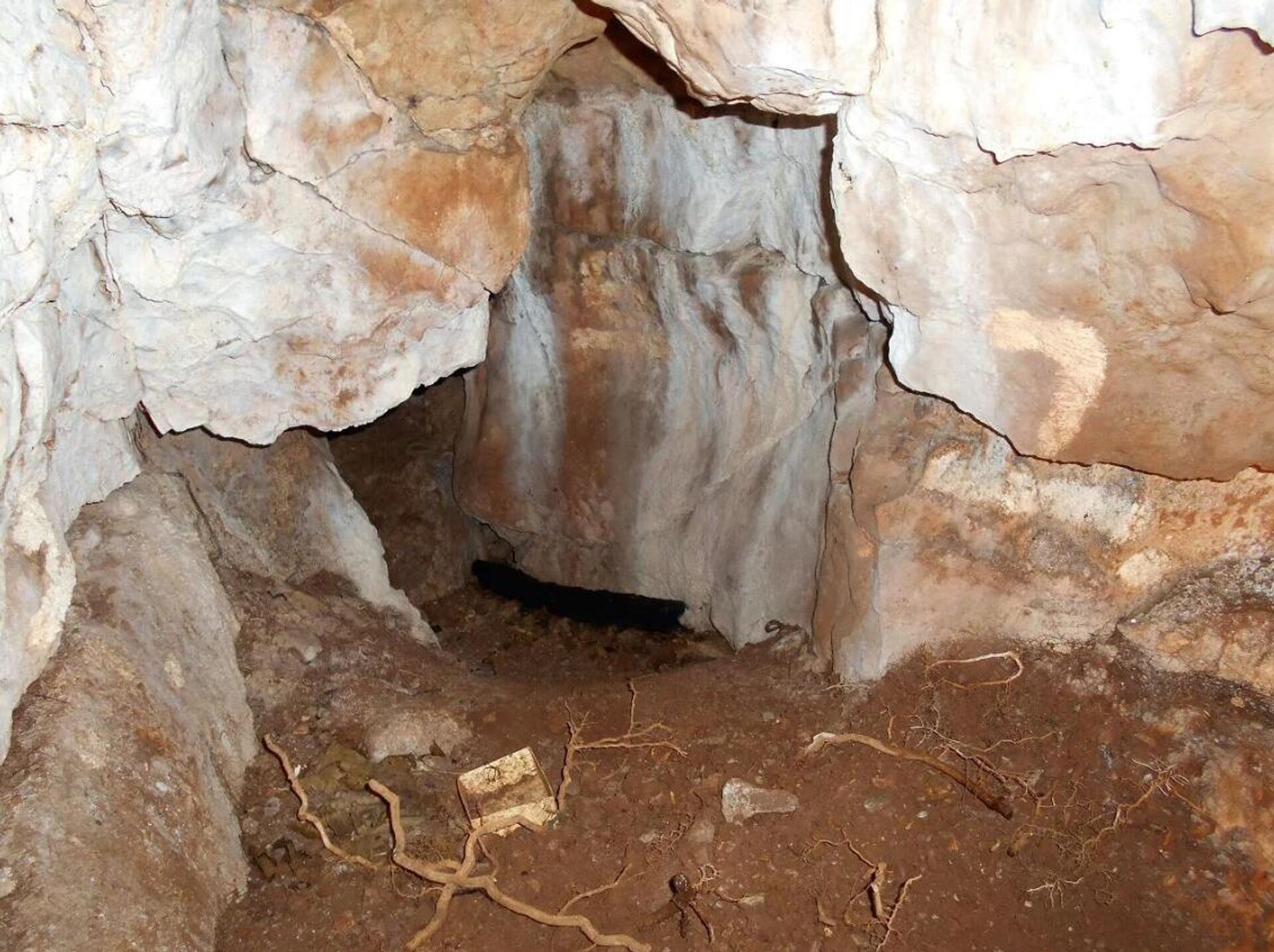 Escavações arqueológicas na caverna. - Sputnik Brasil, 1920, 15.02.2026