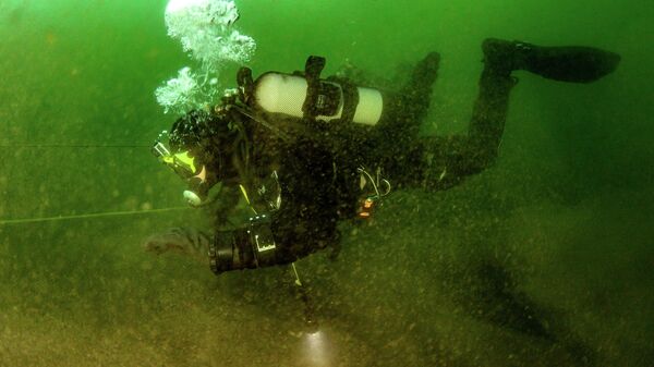 Um mergulhador (imagem referencial). - Sputnik Brasil