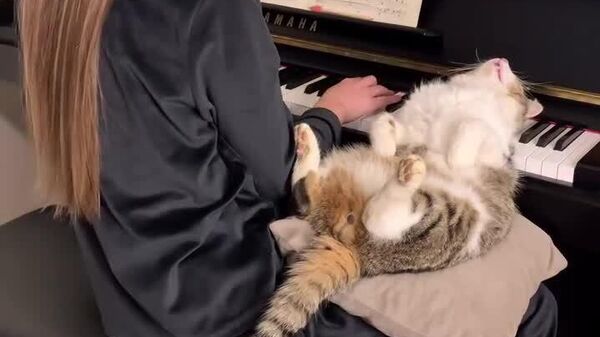 Nada como uma musiquinha pra relaxar! - Sputnik Brasil