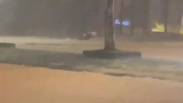 Tragédia em MG: chuvas elevam para 48 o número de mortos - Sputnik Brasil