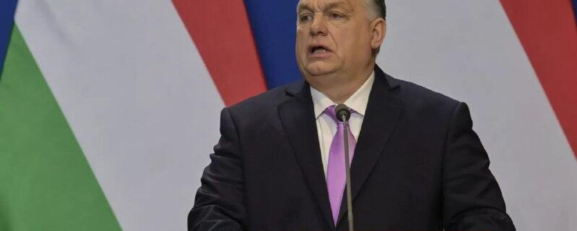 Hungria não cederá à pressão e vetará entrada da Ucrânia na UE, diz Orbán - Sputnik Brasil, 1920, 23.03.2026