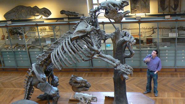 Megatherium americanum - Sputnik Brasil