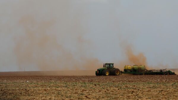 Área de cultivo de soja na região de Batavo, no Maranhão. 9 de outubro de 2025 - Sputnik Brasil