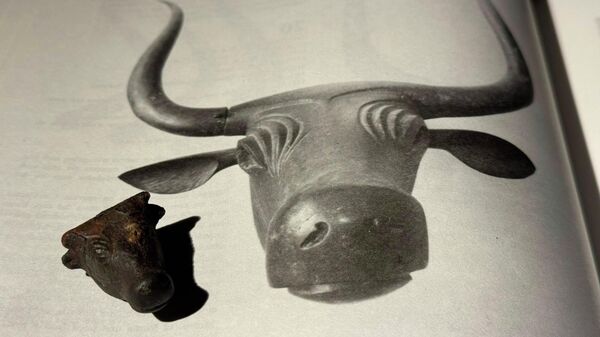 Cabeça de touro de bronze de 3 mil anos encontrada nas montanhas da Serra de Tramuntana, em Maiorca, na Espanha - Sputnik Brasil