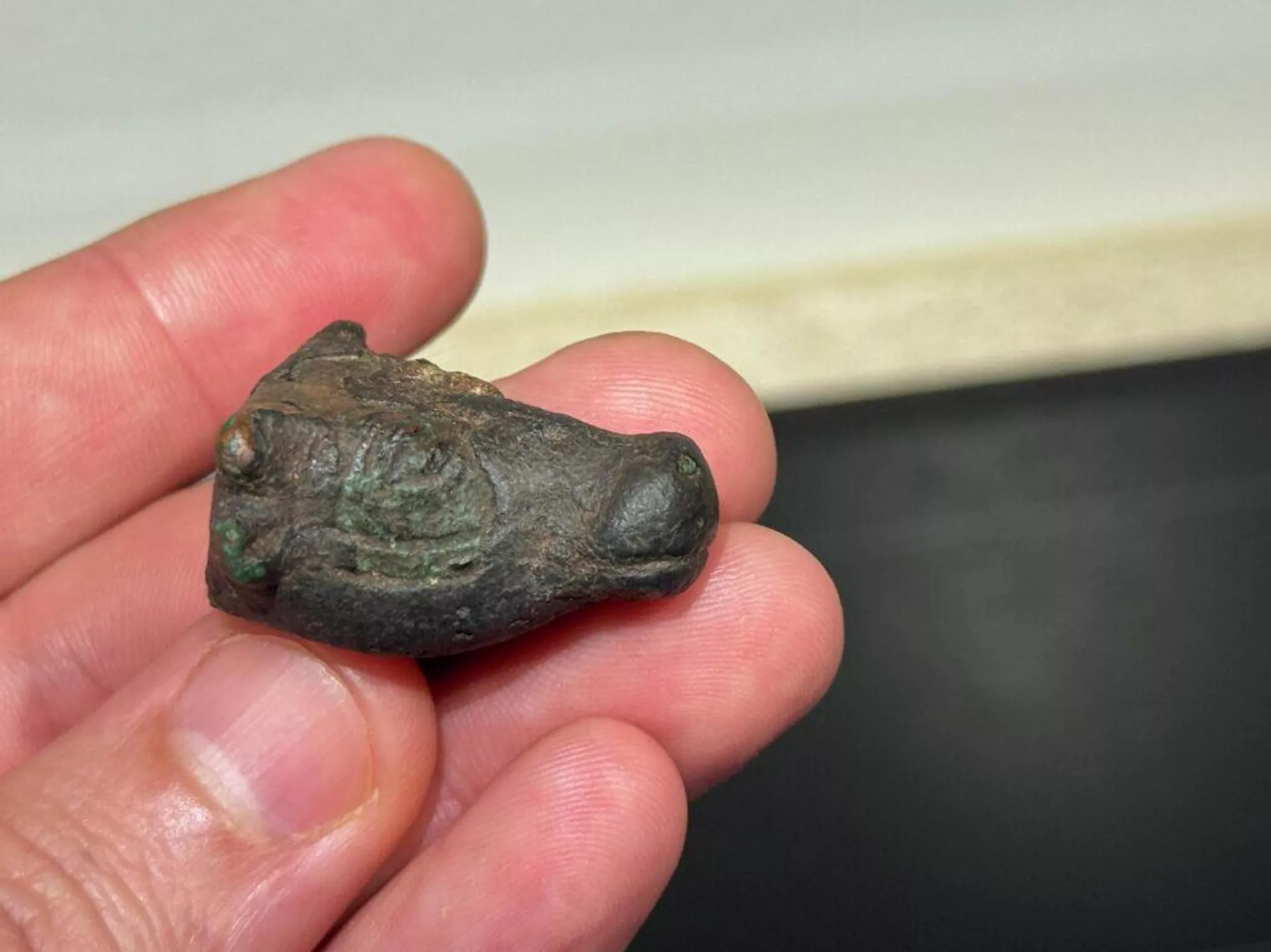 Cabeça de touro de bronze de 3 mil anos encontrada nas montanhas da Serra de Tramuntana, em Maiorca, na Espanha - Sputnik Brasil, 1920, 17.03.2026