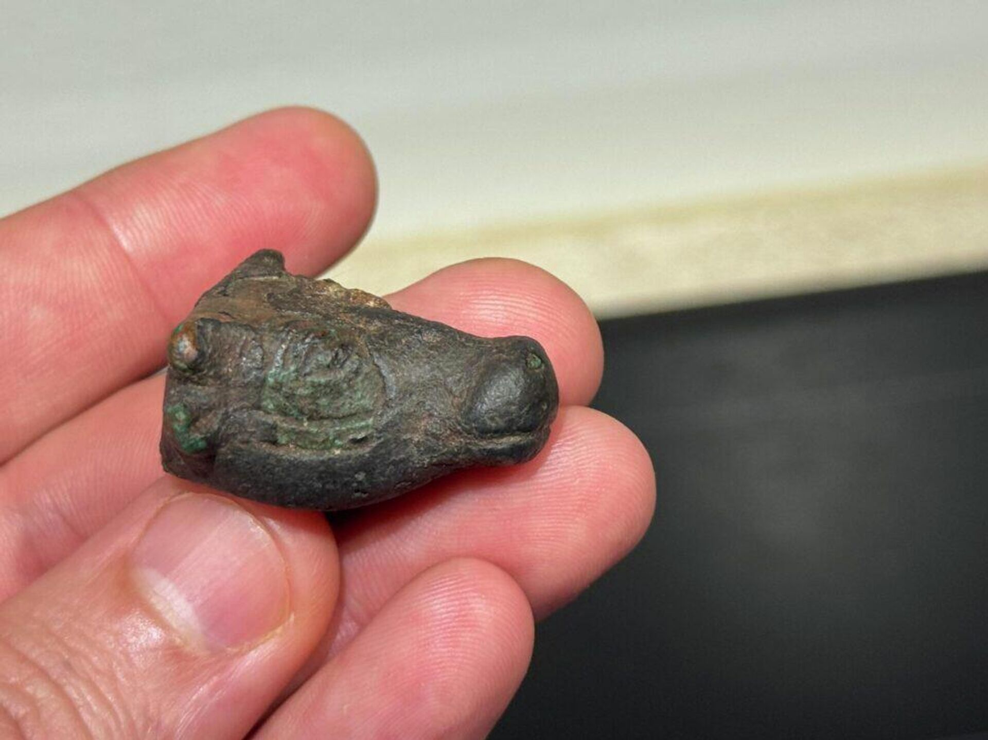 Cabeça de touro de bronze de 3 mil anos encontrada nas montanhas da Serra de Tramuntana, em Maiorca, na Espanha