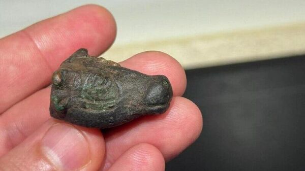 Cabeça de touro de bronze de 3 mil anos é descoberta na ilha espanhola de Maiorca - Sputnik Brasil