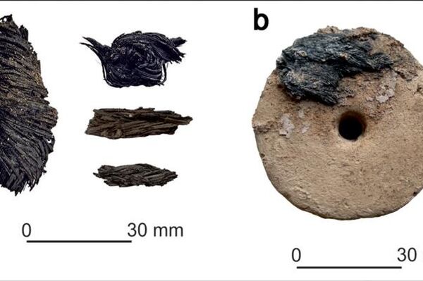 Fragmentos do tear encontrados em Cabezo Redondo, na Espanha - Sputnik Brasil