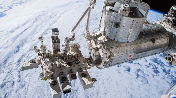 Experimentos realizados com ratos a bordo da Estação Espacial Internacional (EEI) mostraram que a atrofia muscular pode ser atenuada e prevenida em condições de baixa gravidade. A imagem mostra o módulo Kibo da JAXA, que faz parte da EEI - Sputnik Brasil