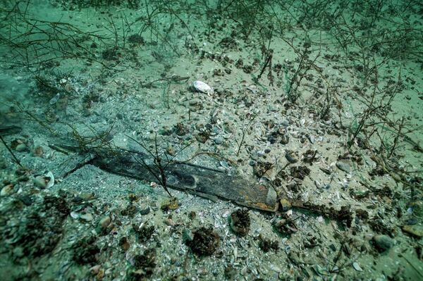 Espada encontrada entre os objetos da época romana no lago de Neuchâtel na Suíça - Sputnik Brasil